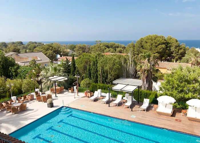 Mr Les Rotes Denia