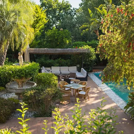 Hotel Mr Les Rotes 4*